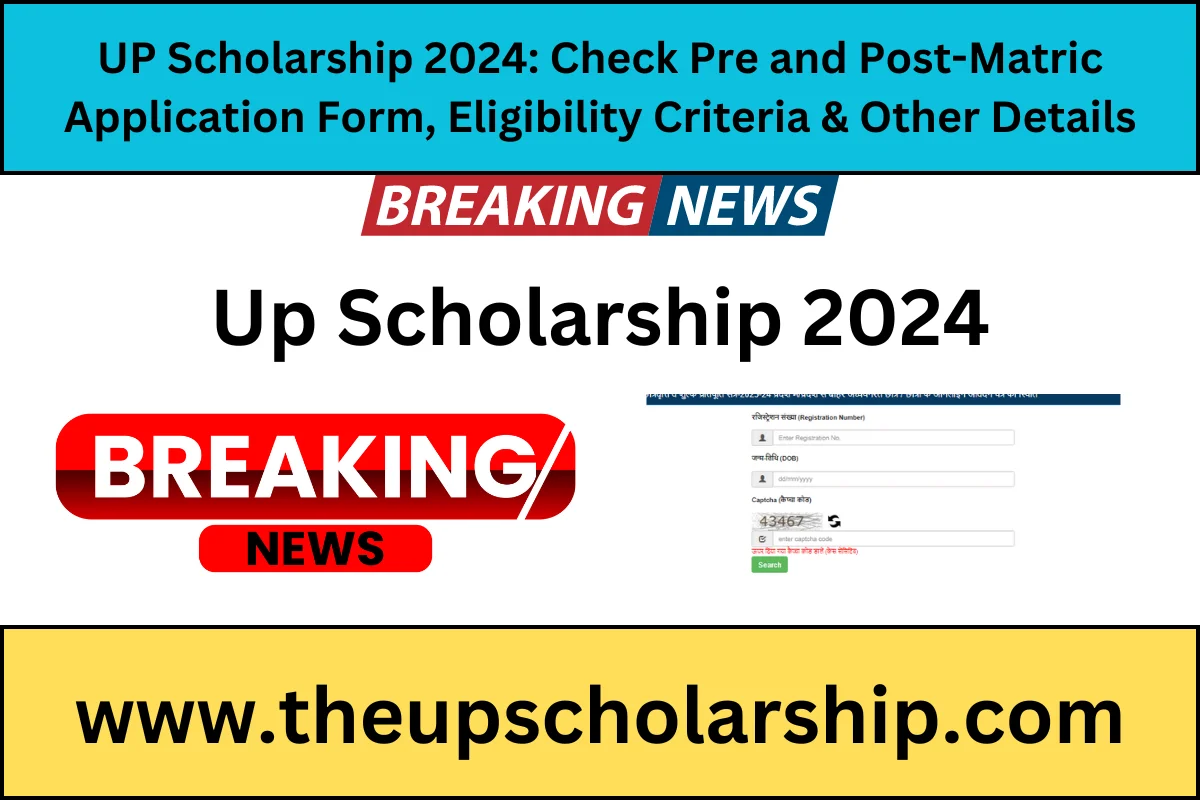 Up Scholarship 2024